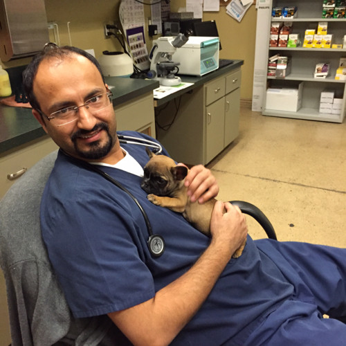 Bullard Marks Veterinary Medical Center Your Family Veterinarian in